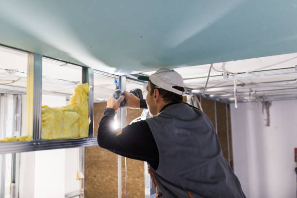 Garage Insulation Installation in Springerville, AZ