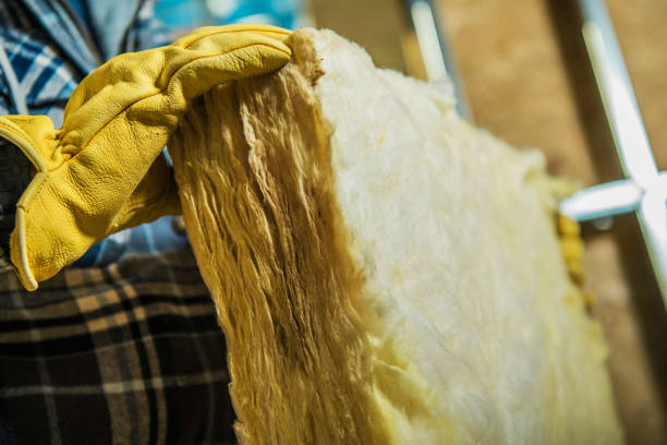 Insulation Repair Services in Springerville, AZ