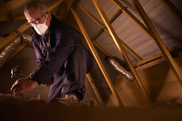 Best Spray Foam Insulation  in Springerville, AZ